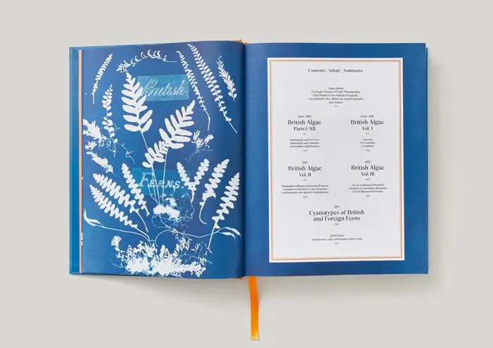 Anna Atkins. Cyanotypes by Peter Walther 6