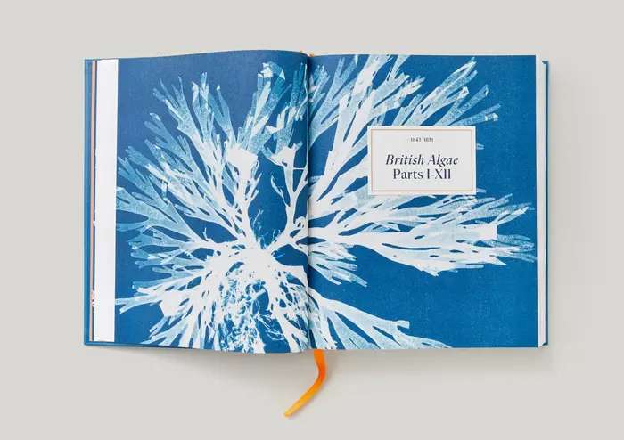 Anna Atkins. Cyanotypes by Peter Walther 9