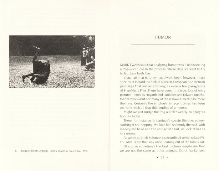 Opening of an essay on humor