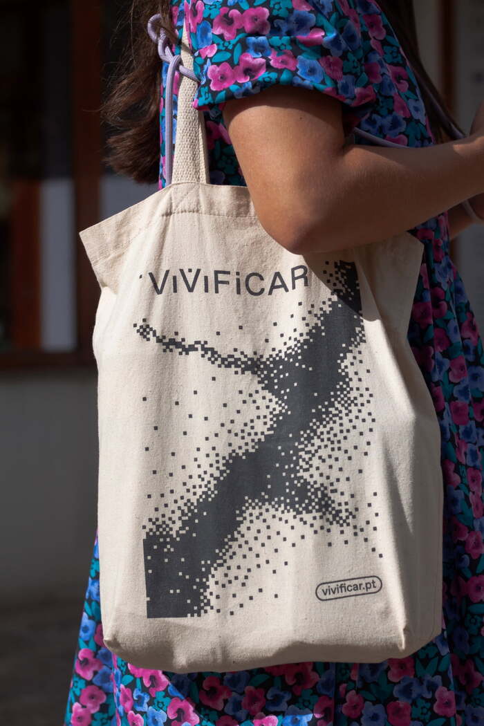 ViViFiCAR 6