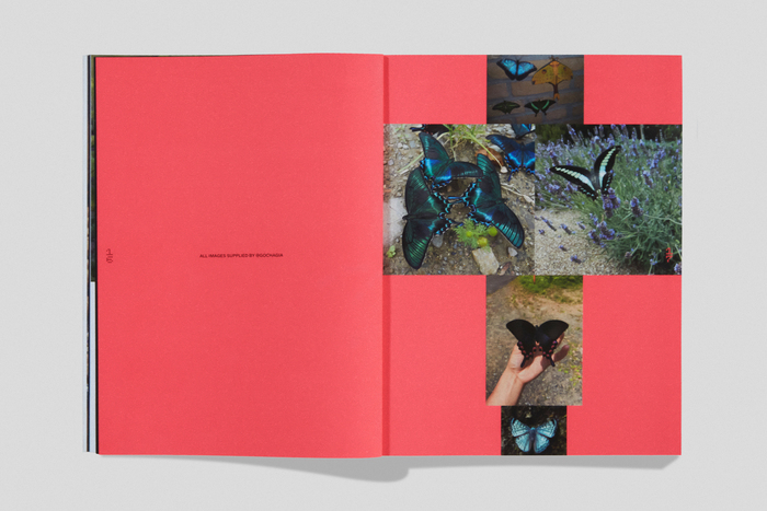 Orienteer mapazine, issue 08, “Deimatic Behaviour” 7