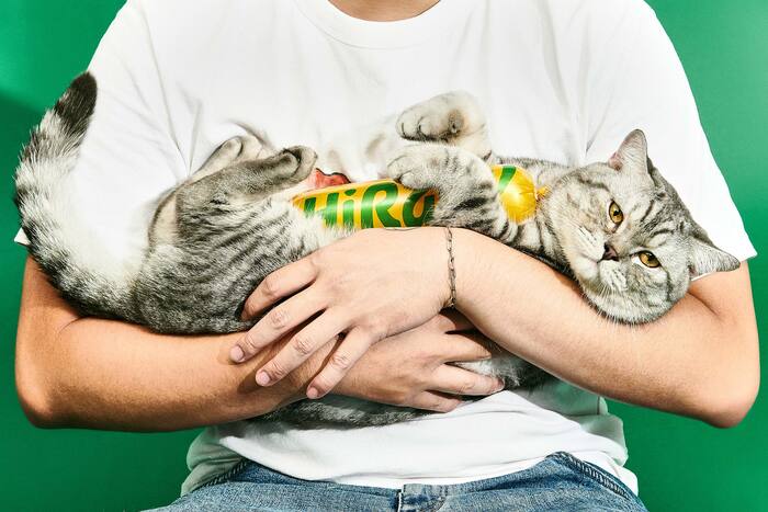 HiRaw! pet food rebrand 16