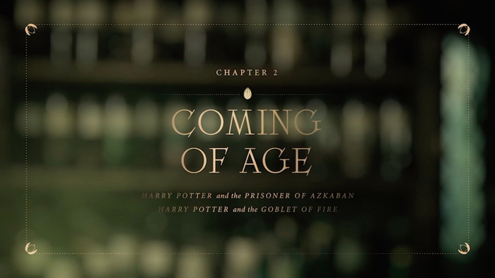 Harry Potter 20th Anniversary: Return to Hogwarts section titles 4