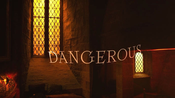 Harry Potter 20th Anniversary: Return to Hogwarts section titles 7