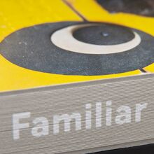 <cite>Familiar Faces</cite> by Lida van der Vlist