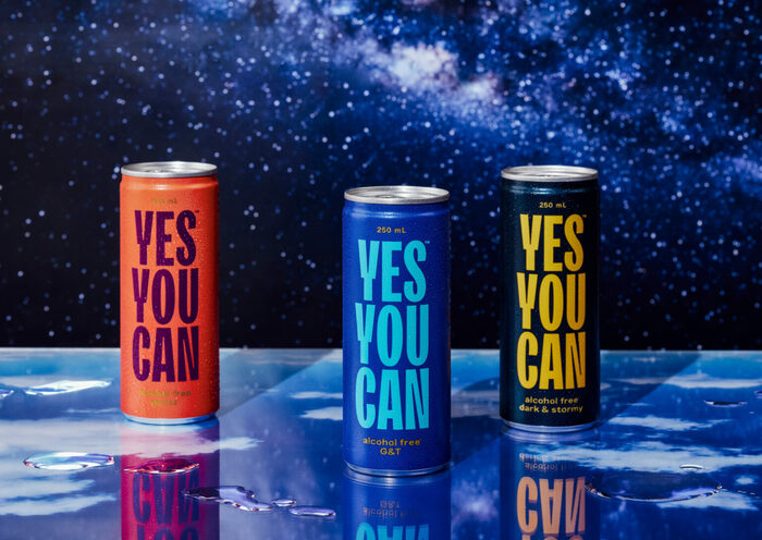 Yes You Can 2