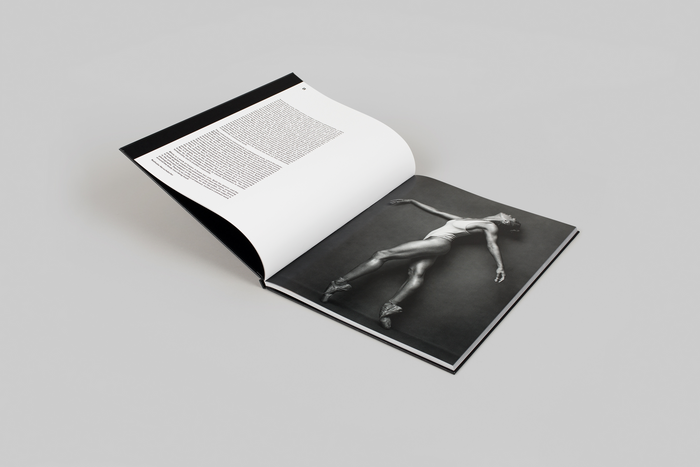Misty by Henry Leutwyler 2