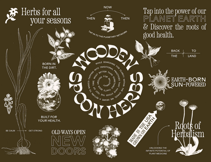 Wooden Spoon Herbs 8