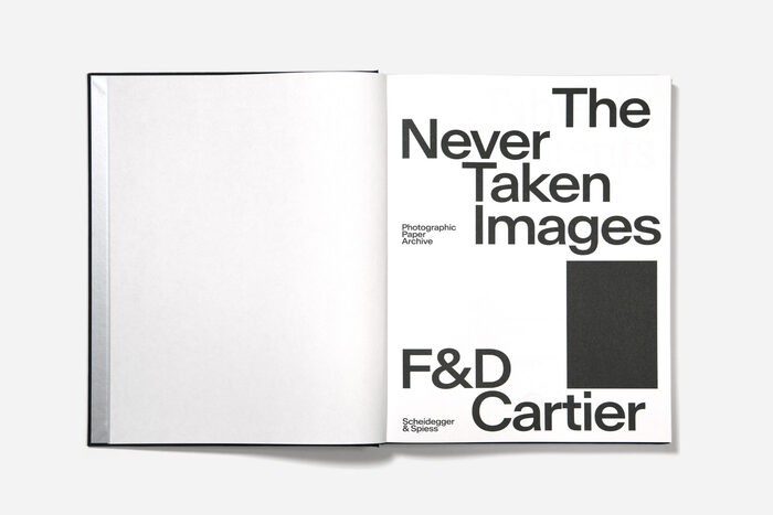 The Never Taken Images by F&amp;D Cartier 3
