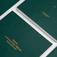 Althingi Ombudsman Annual Report