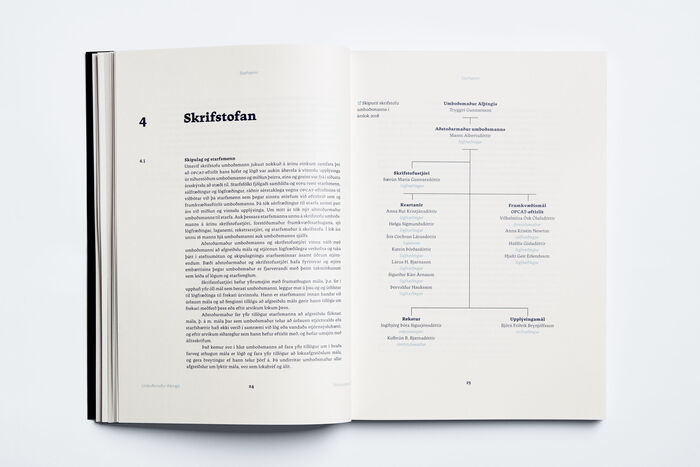 Althingi Ombudsman Annual Report 4