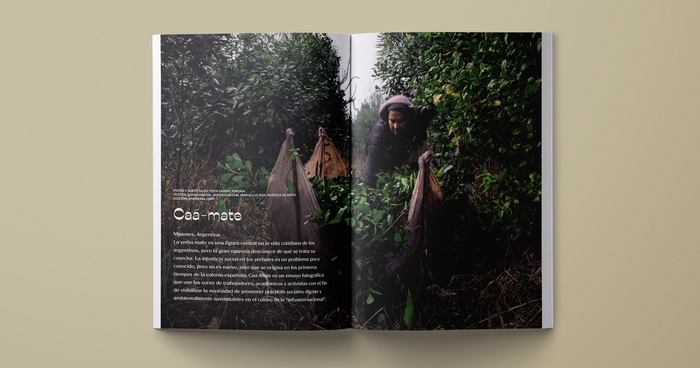 Photography (in the feature, 'Caá-mate') by Toya Sarno Jordan.
