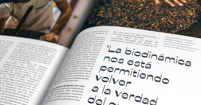 Anchoa magazine 2
