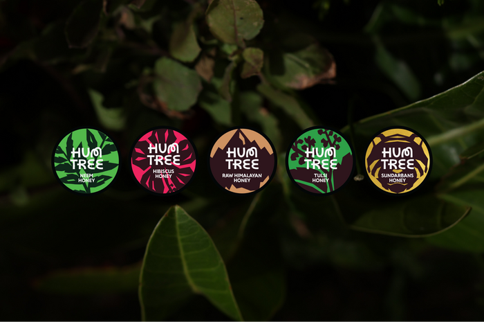 HumTree identity and packaging 4