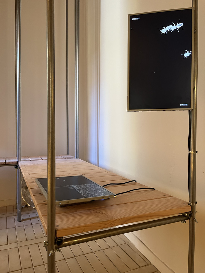 Melitosfex exhibition 2