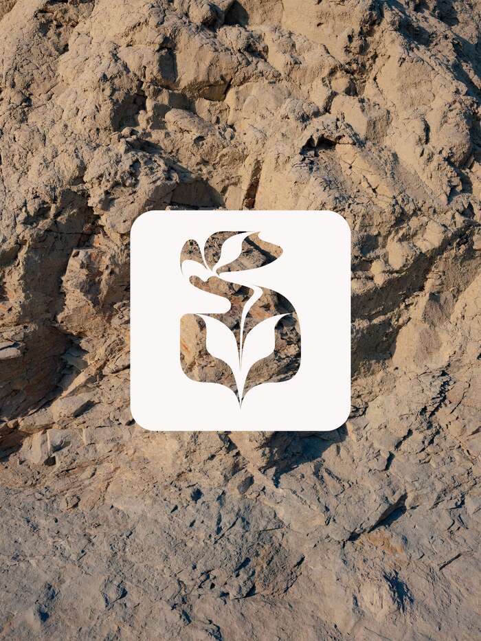 SLOWDAYS Gin Co. 5
