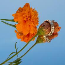 Maple typographic jewelry