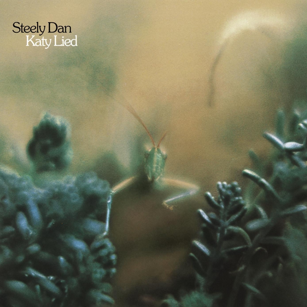 Katy Lied by Steely Dan Fonts In Use