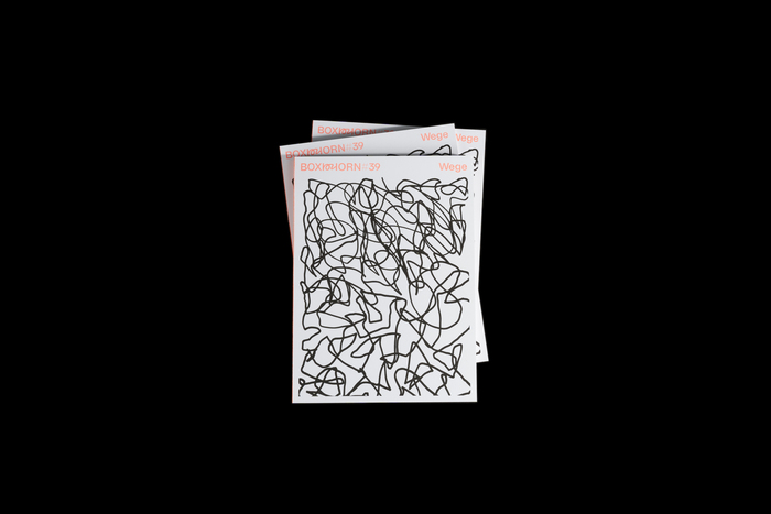 Boxhorn #39, “Wege” issue 3