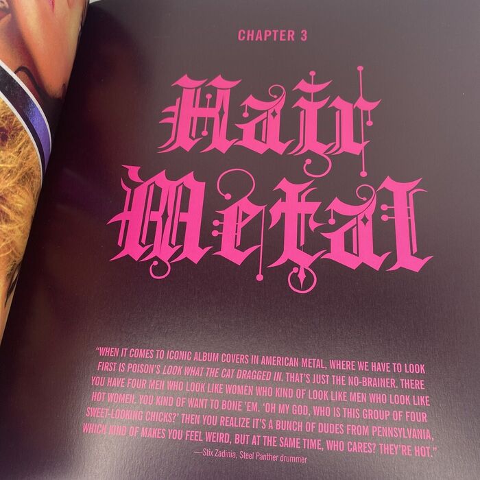 Chapter 3, “Hair Metal”, in 