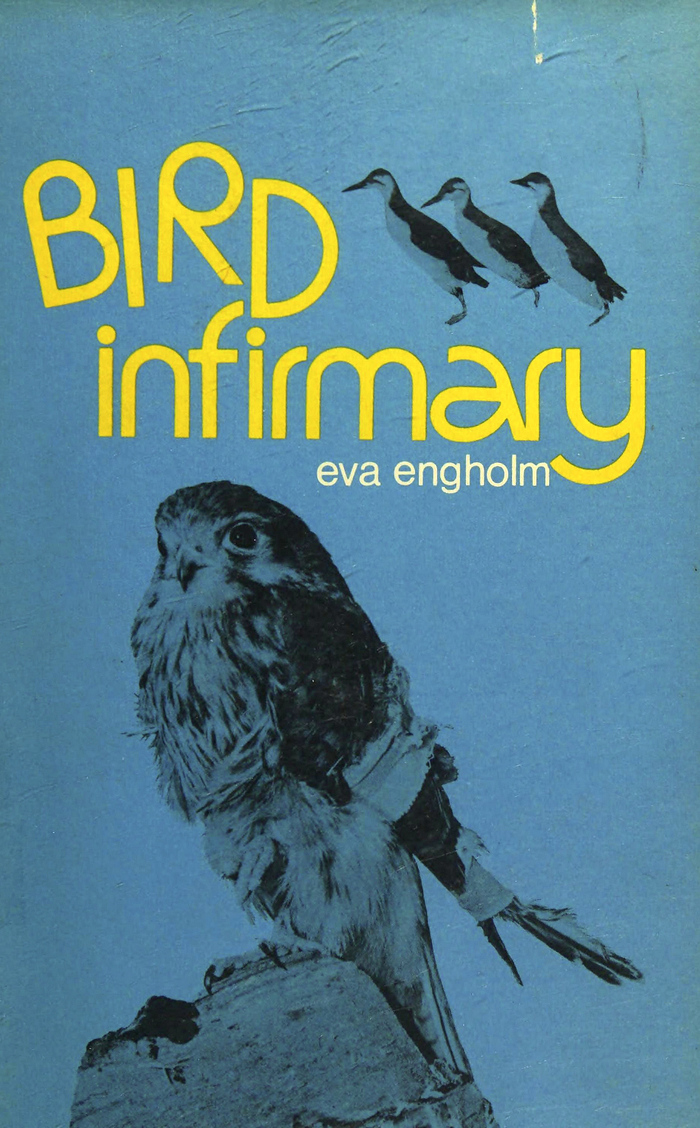 Bird Infirmary by Eva Engholm 1