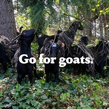 Vantage Grazing website