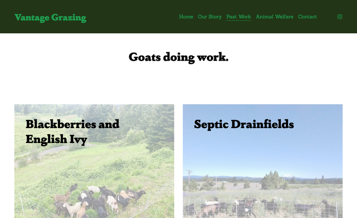 Vantage Grazing website 3