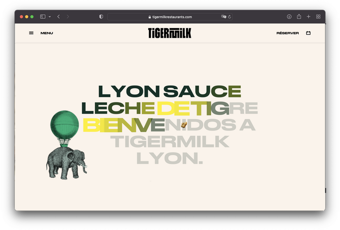 Tiger Milk website 7
