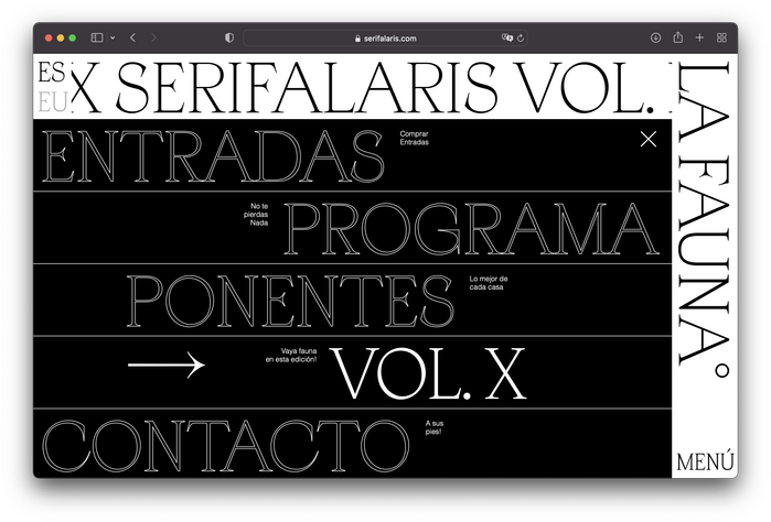 Serifa Laris design conference 4