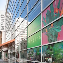 <cite>Elegies</cite> exhibition at MoAD