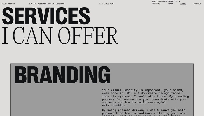 Filip Felbar portfolio website 4