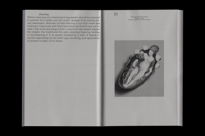 Through the Social Life of the Sea-Shell 4