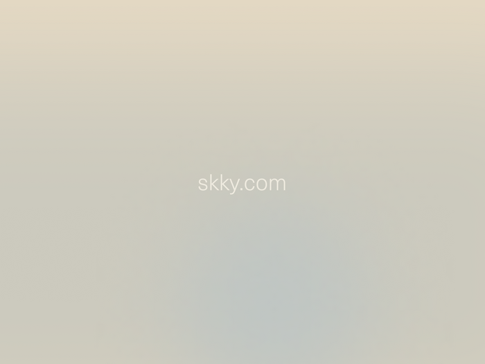 SKKY Partners 2