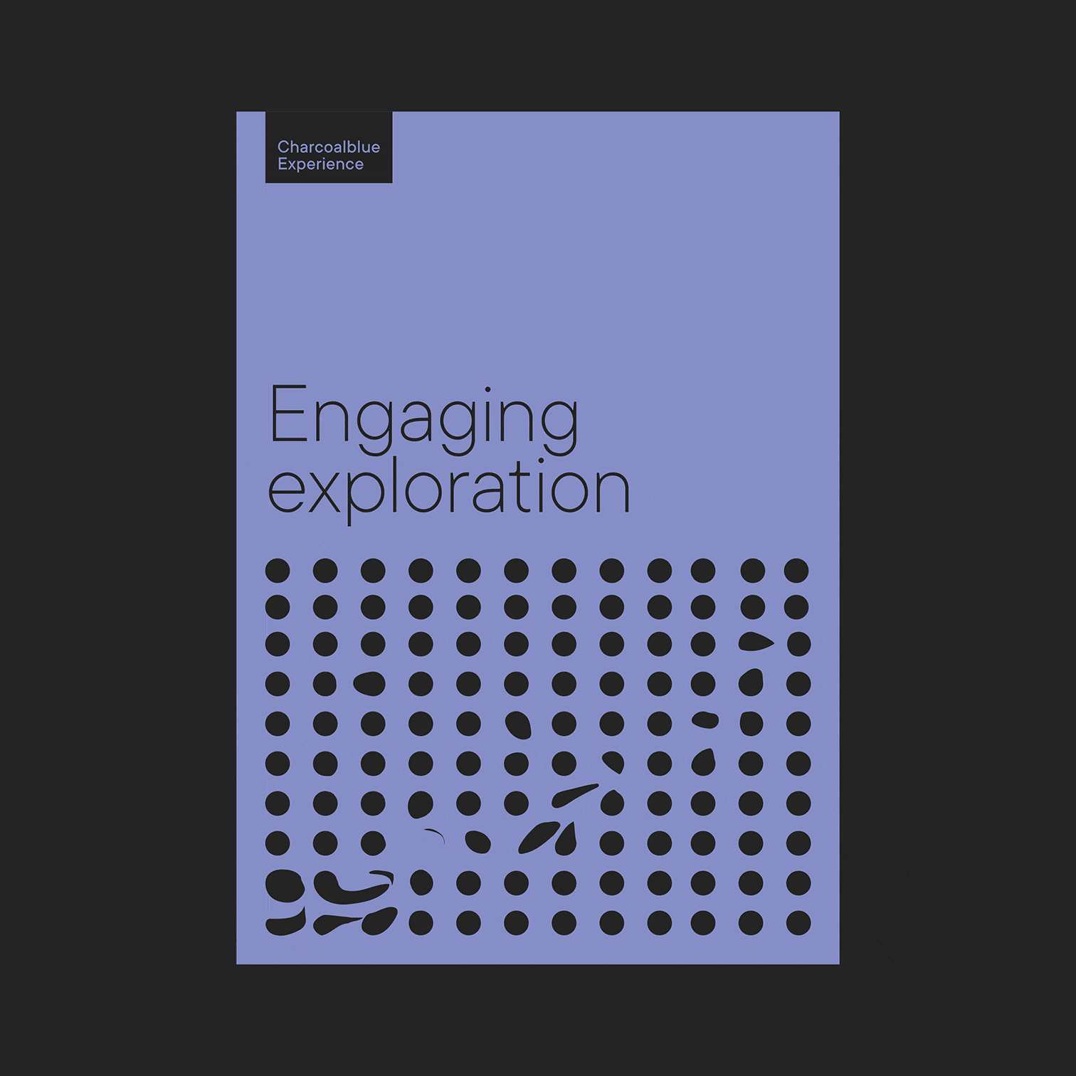 Charcoalblue Experience 2