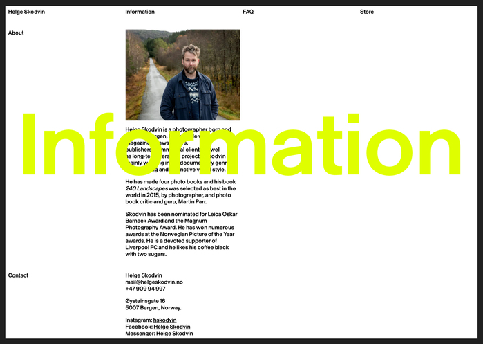Helge Skodvin website 5