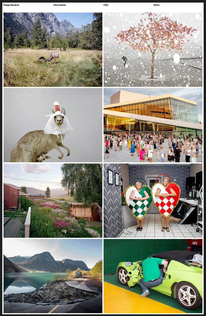 Helge Skodvin website 4