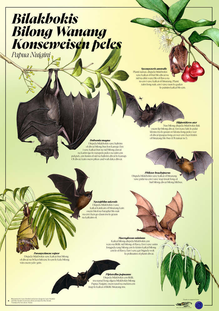 Bats of Wanang Conservation Area – Tok Pisin poster