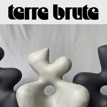 Terre Brute identity