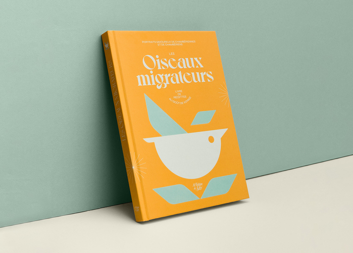 Les Oiseaux migrateurs 1