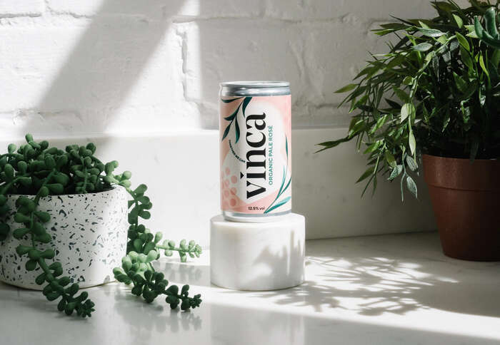 Vinca canned wine 5