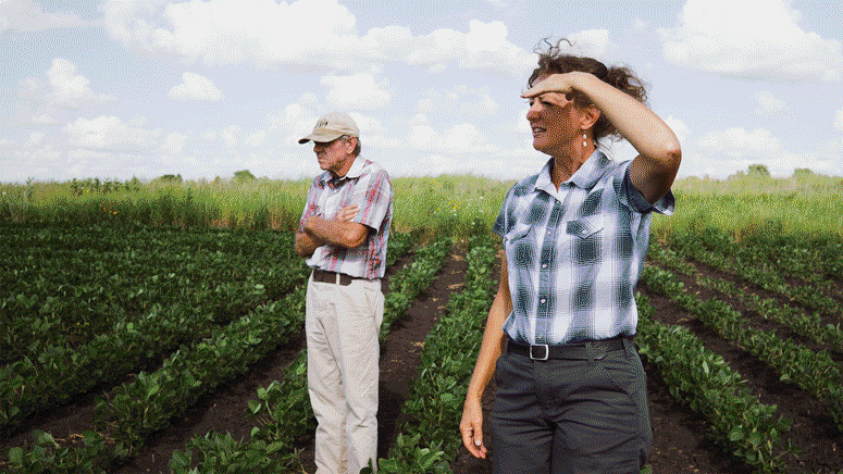 Mad Agriculture 2