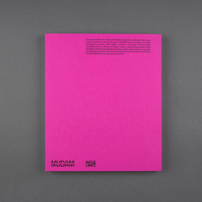 Conduits: Paintings from the 1980s by Peter Halley 5