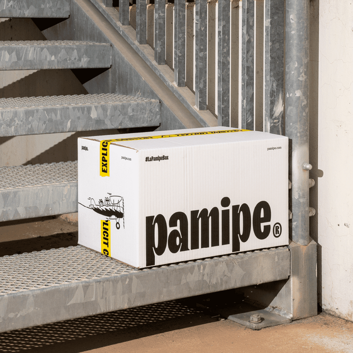 Pamipe 1