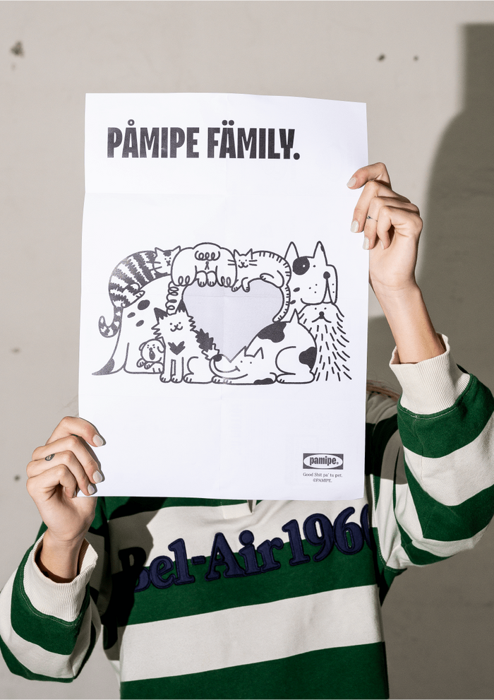 Pamipe 10
