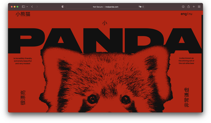 Red Panda website 8