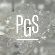 PGS mark and simplified visual identity