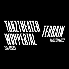 Tanztheater Wuppertal identity and website