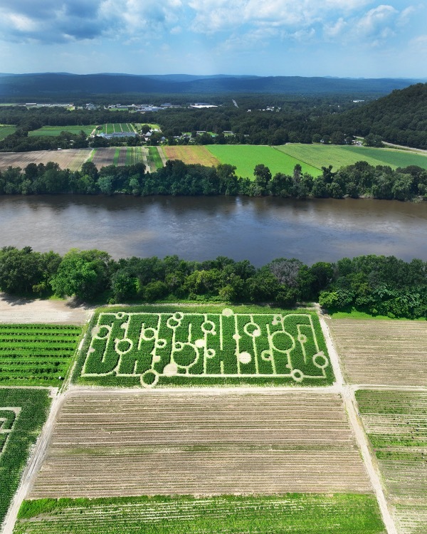 The “Drinking” maze set in Fit, used for beer tastings.