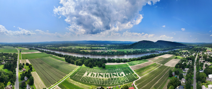 A fisheye panorama showing the maze’s position in Massachusetts’s Pioneer Valley, with the Connecticut River and Sugarloaf Mountain behind it