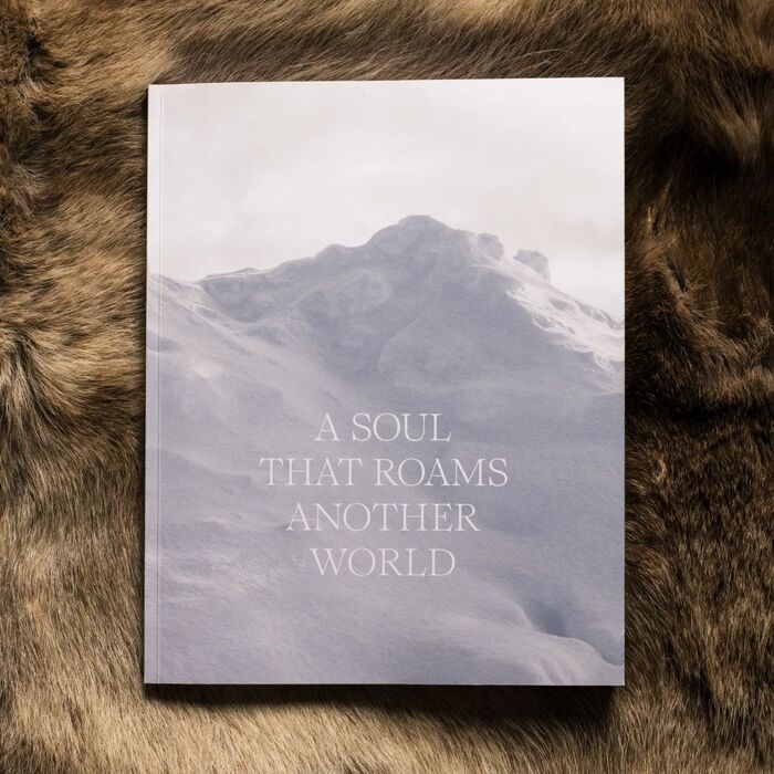 A Soul That Roams Another World 1